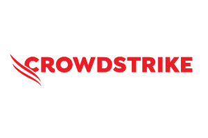 13 crowdstrike 13 crowdstrike